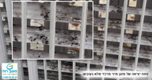 גריל של מיני מרכזי נגוע בעובש